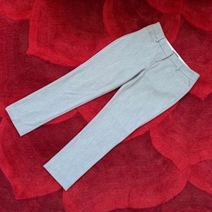 Express Pants Gray
